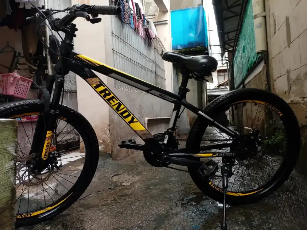 Sepeda gunung Trendy 860