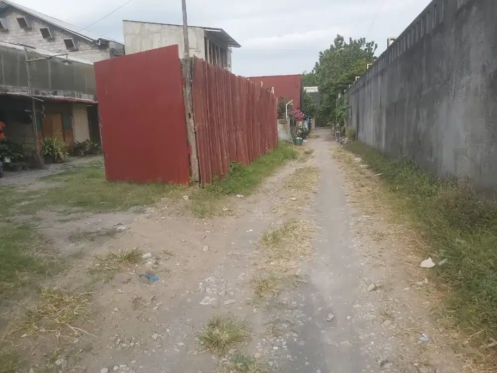 Turun Harga! Tanah di Tajem 4Jt-an SHM Pekarangan Utara Pasar Stan