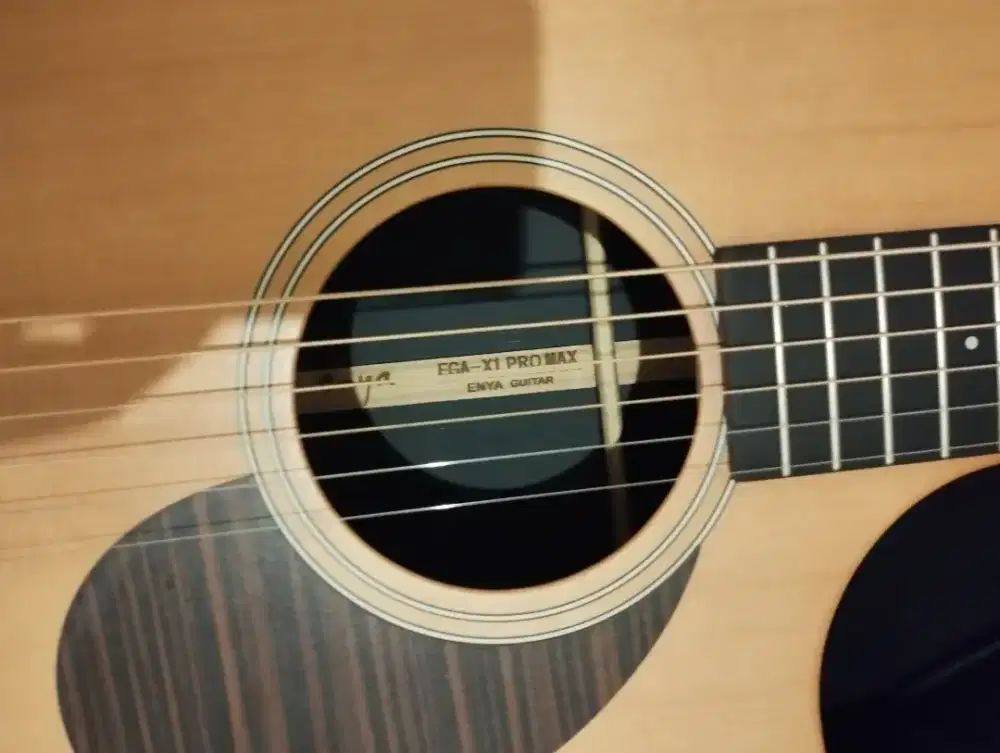 Gitar Enya  EGA X1 promax