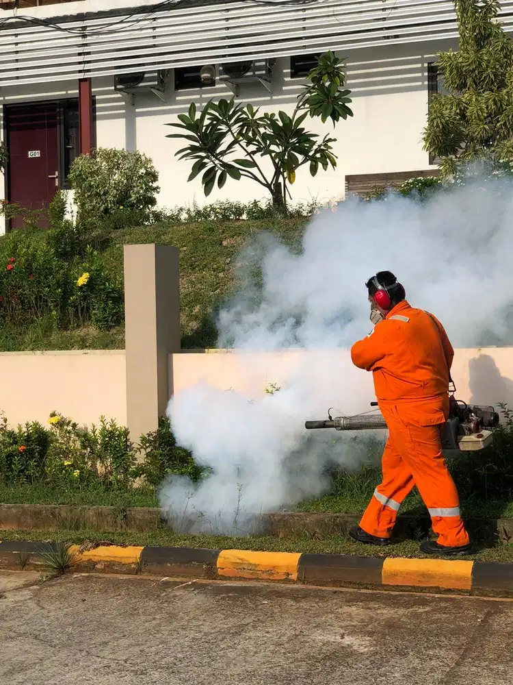 Fogging Nyamuk Balikpapan