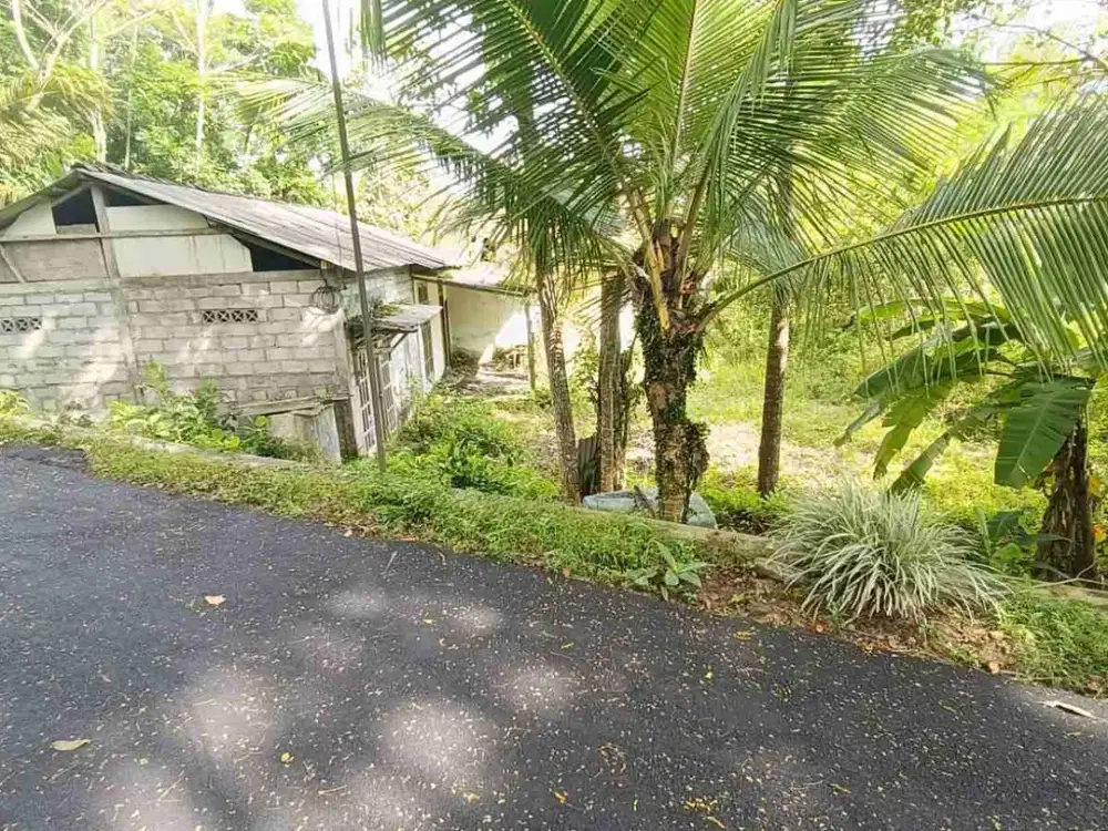 Dijual tanah bagus murah jl turi slemansegera