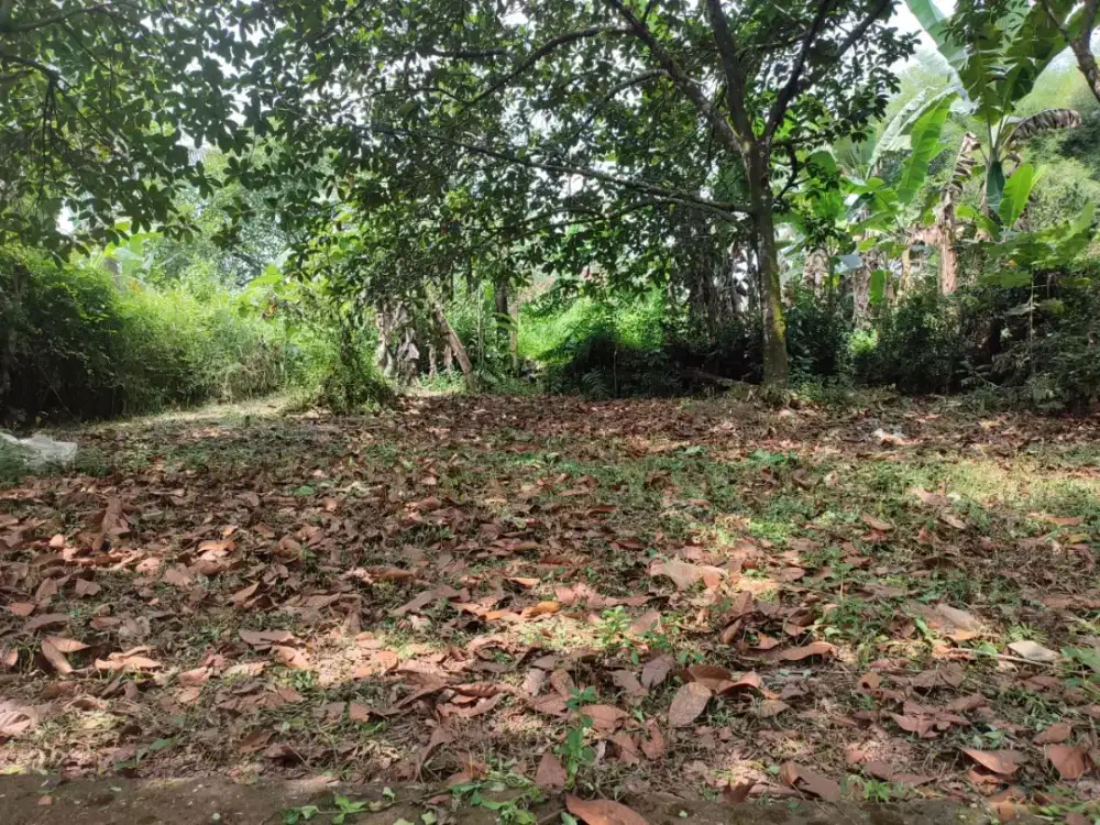 For Sale Tanah di Desa Pengasinan Depok