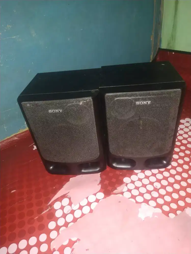 Sepasang speaker pasif Sony ss-H20