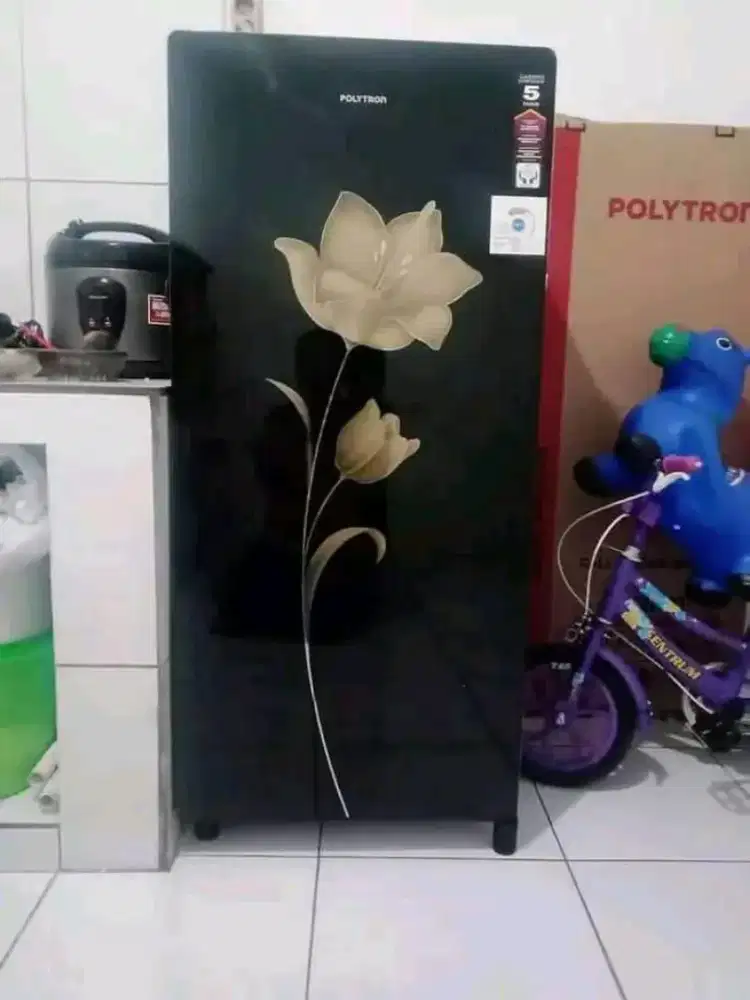 Kulkas Polytron 1pintu