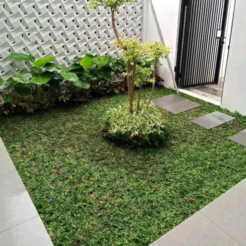 Pesona Taman dan kolam koi