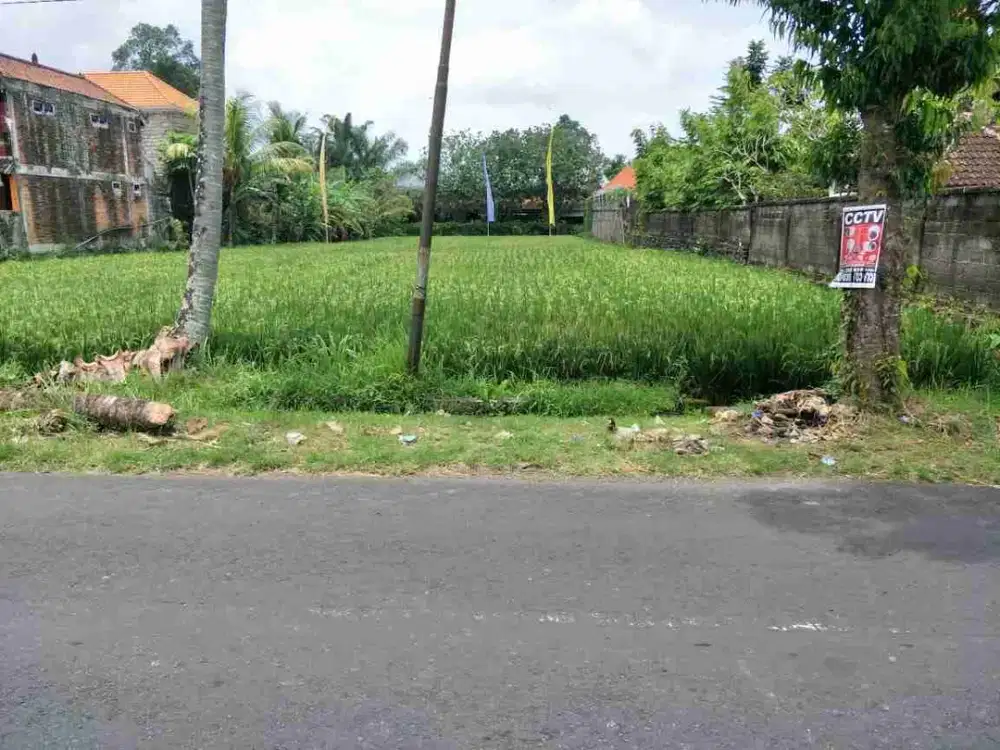 Tanah komersil zona perdagangan dan jasa Kemenuh sukawati Gianyar Bali