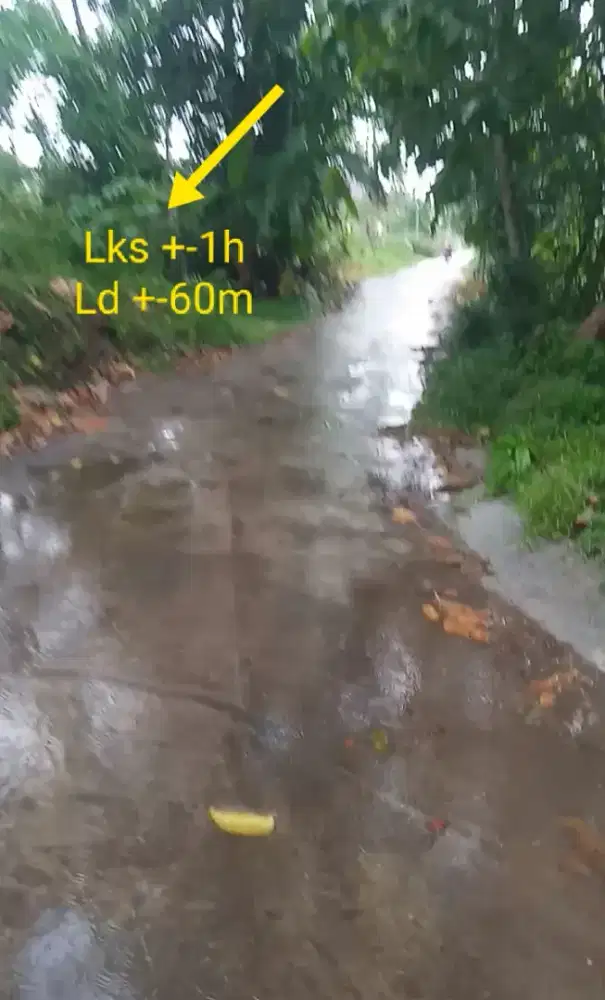 Jual tanah lokasi teras Boyolali luas 1 Hektar hrg 750rb/MTR nego