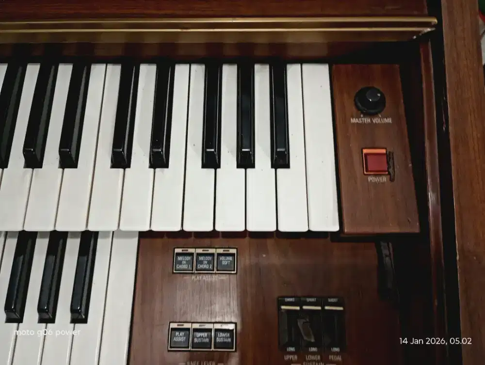 Organ clasic brown