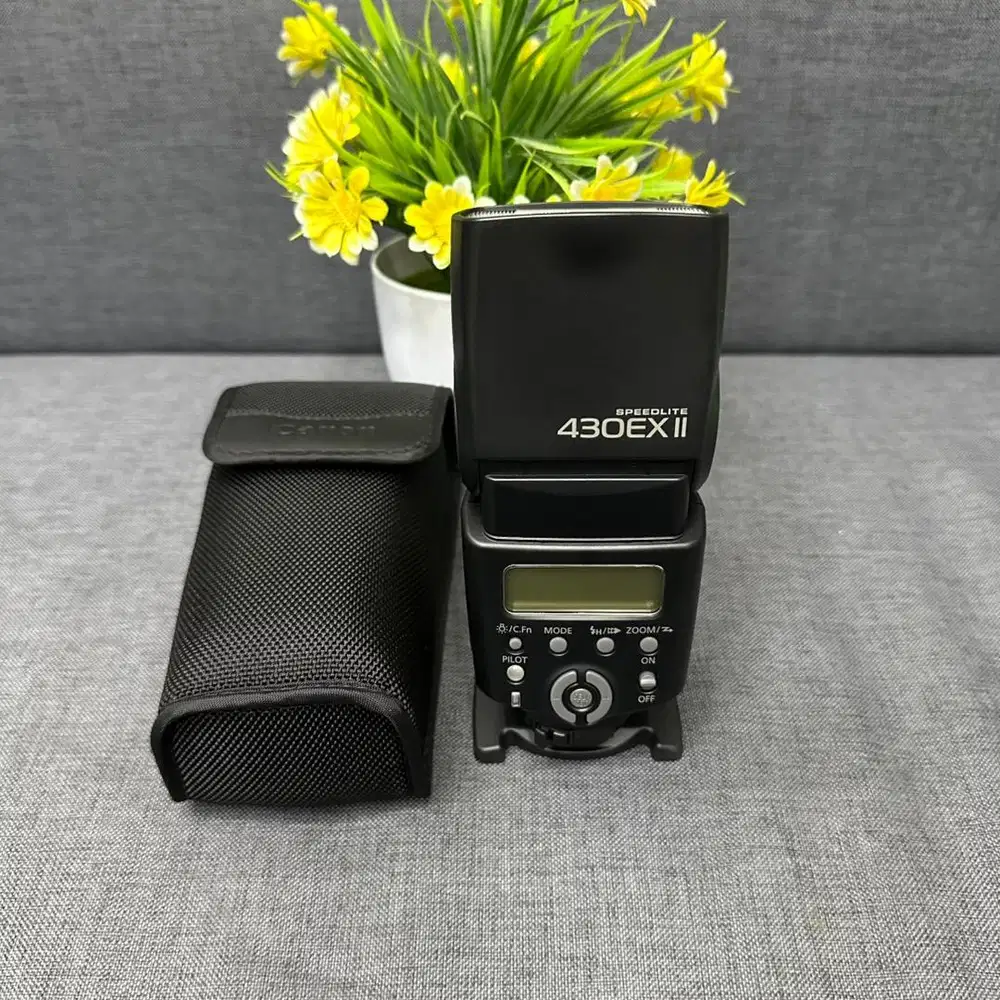 Canon Speedlite 430EX II