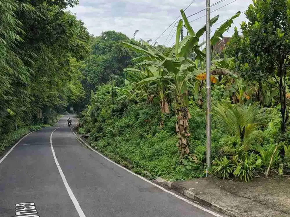 TANAH 206M SUPER STRATEGIS JL. MAYOR UNUS  KALINEGORO MERTOYUDAN