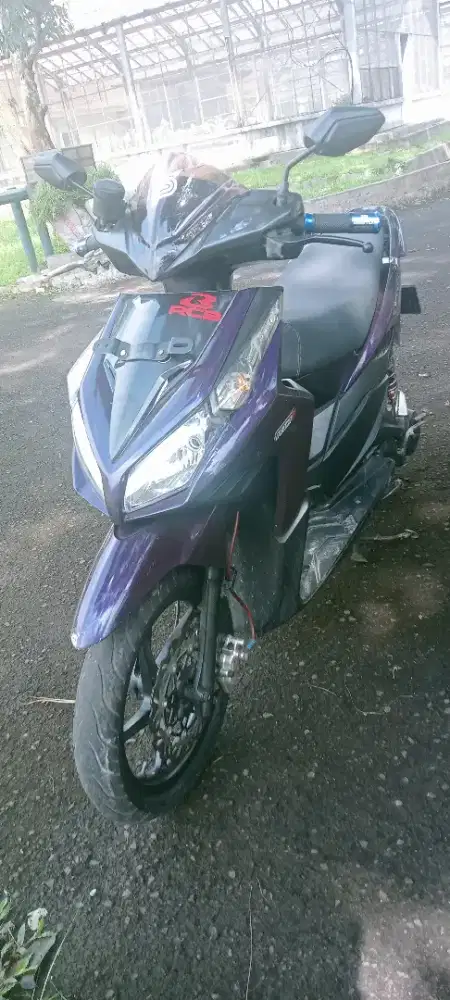 Vario karbu  2011