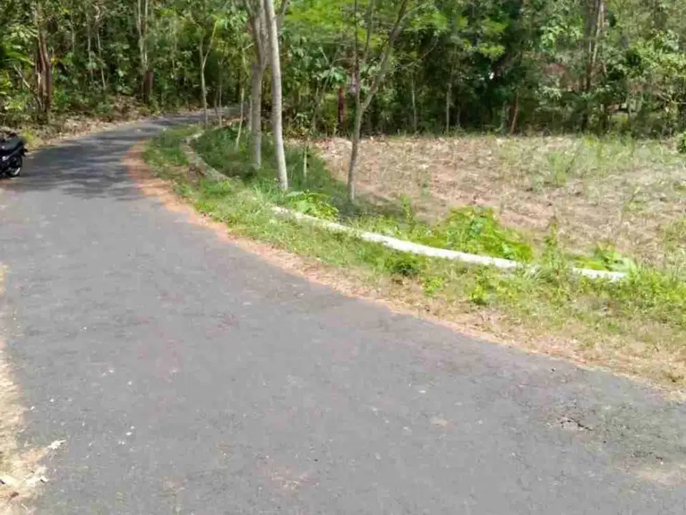 Tanah Dijual 7000 m dekat RS Nyi Ageng serang