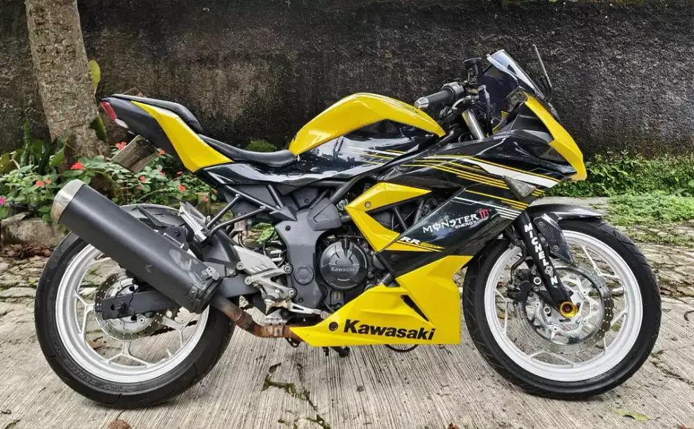 Kawasaki ninja RR 250 z mono
