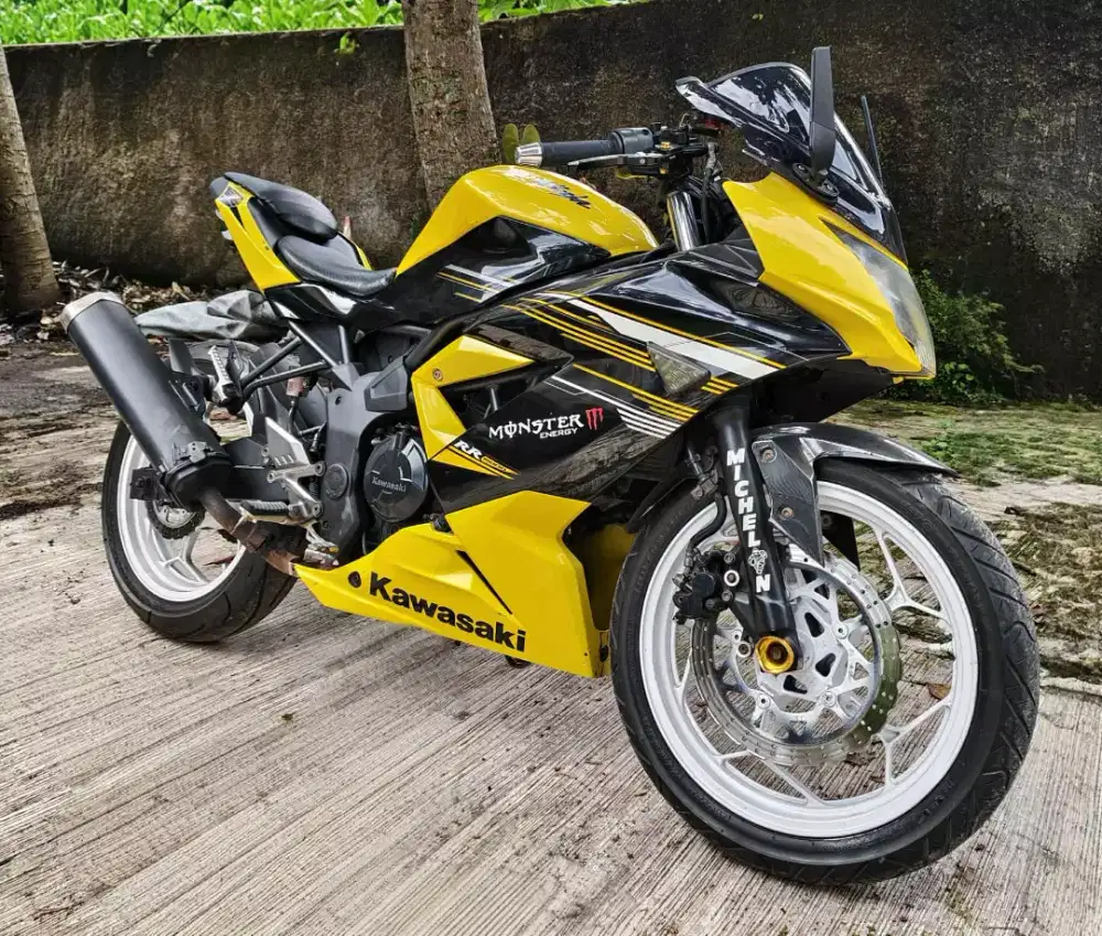 Kawasaki ninja RR 250 z mono