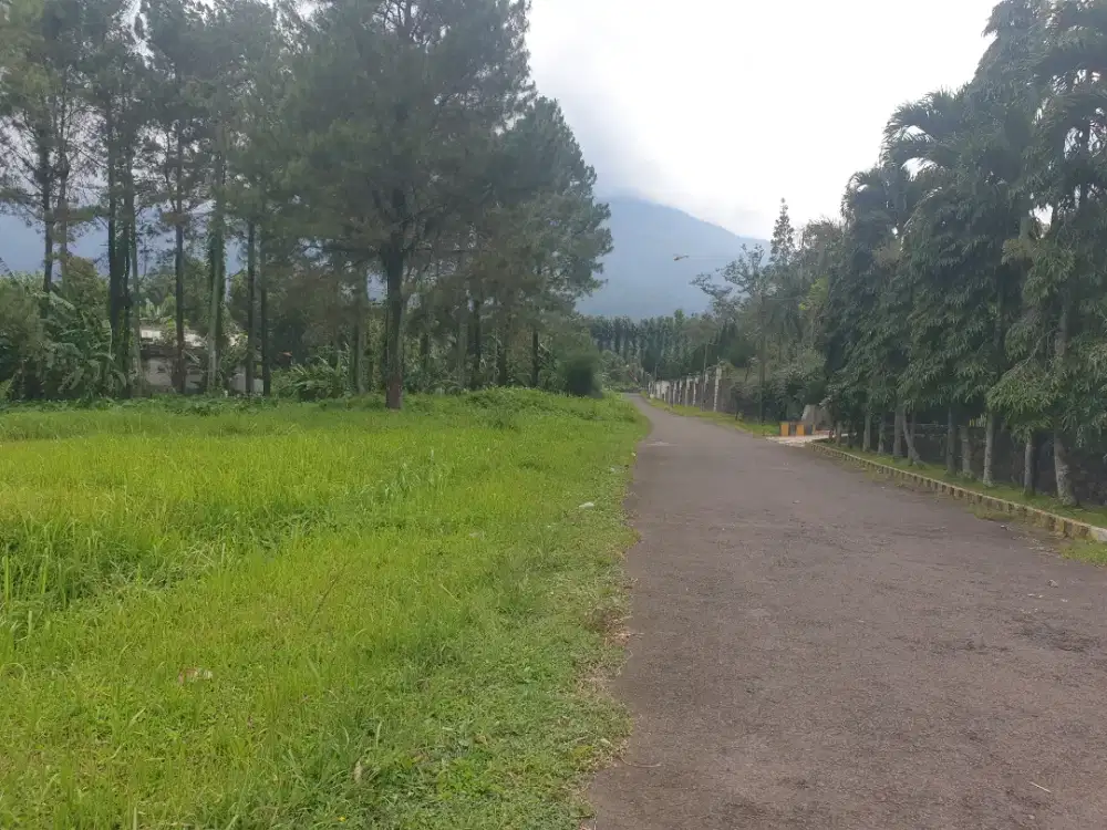 Kawasan Wisata Prigen Pasuruan Luas 5.000 m2