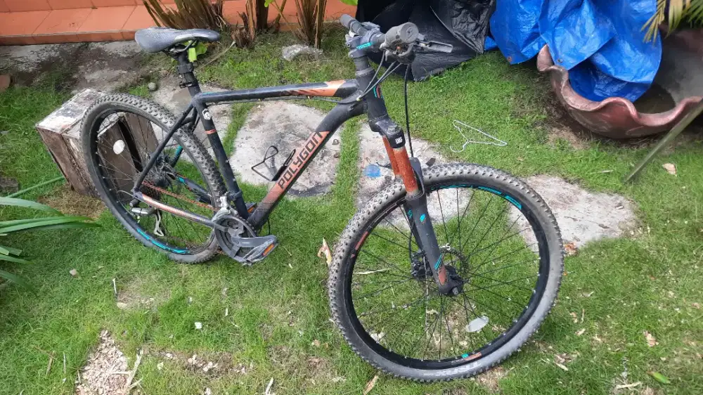 Polygon Premier 4 2018