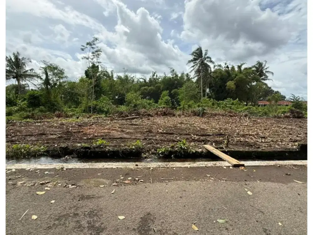 Tanah Jogja Tepi Jl Aspal Area Jalan Palagan km14