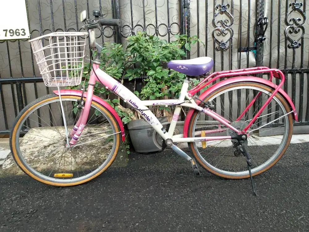 Sepeda cocok untuk ibu atau anak