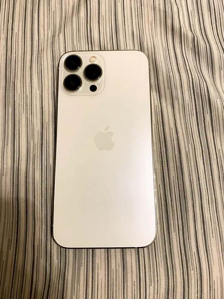 Iphone 13 PRO MAX 256GB