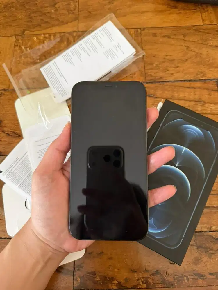 IPHONE 12 PRO 256GB IBOX+ case caudabe