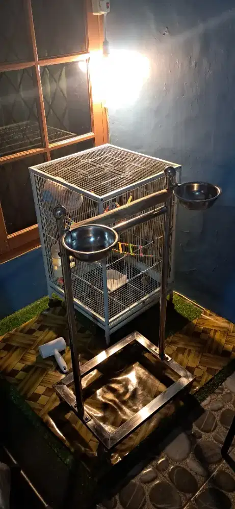 Kandang & Tangkringan ex Parrot