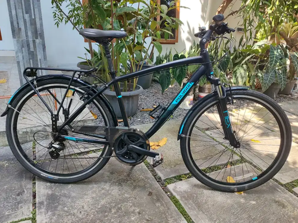 Polygon Sierra Deluxe Sport Gent BEKAS Alloy size 48