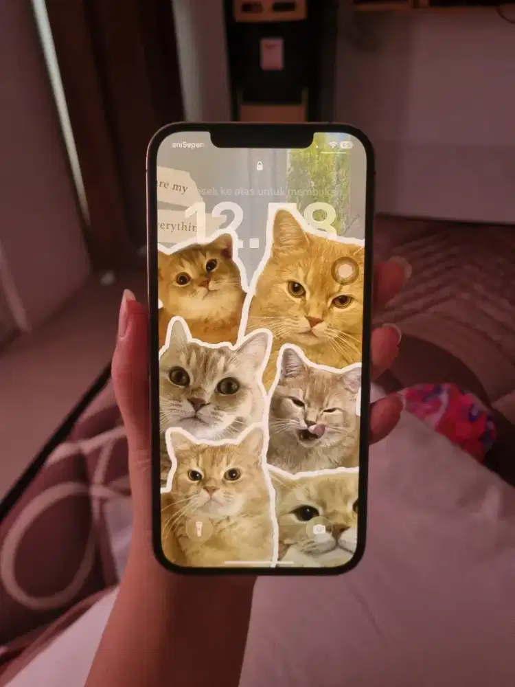 Iphone 12 Promax 256GB