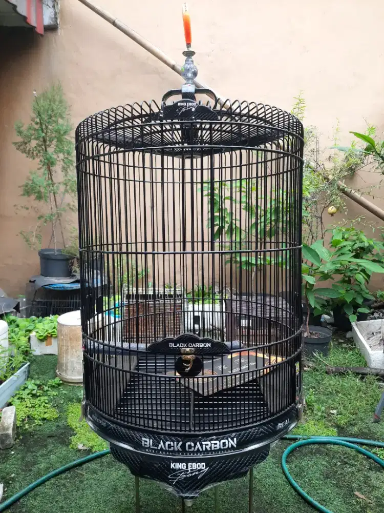 Sangkar Kandang Murai Batu Ebod Black Carbon No 2