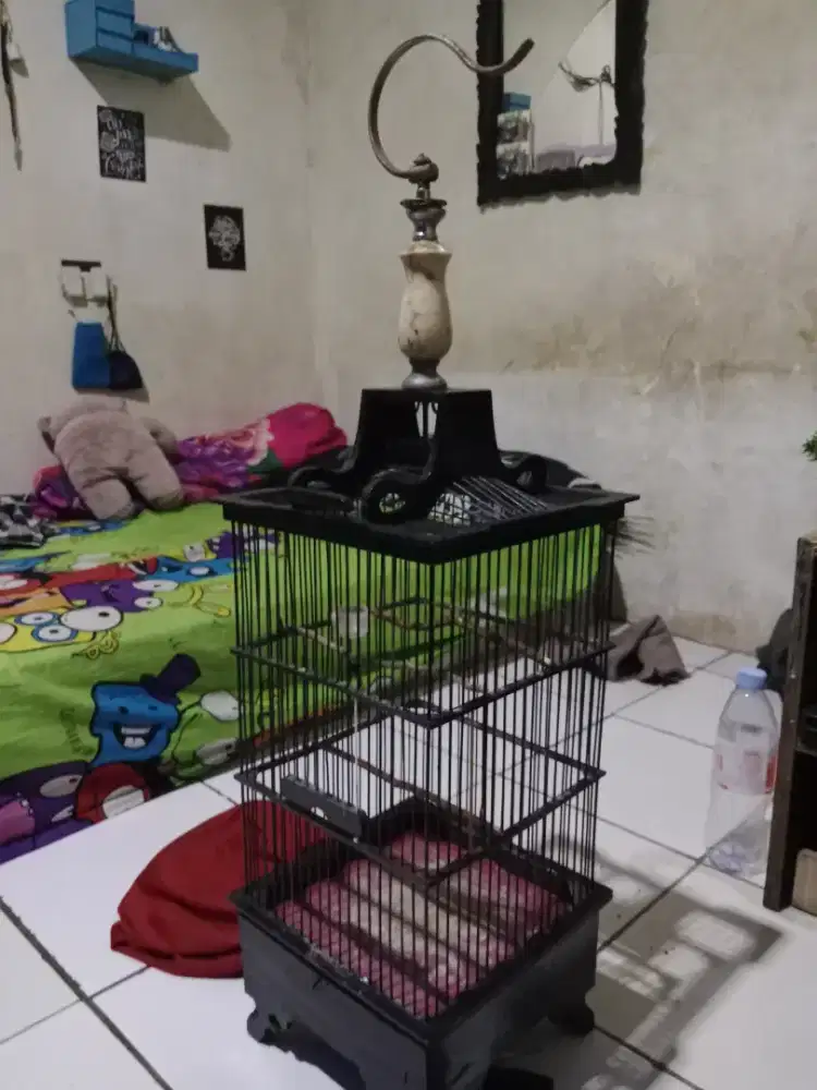 Jual kandang no. Minus