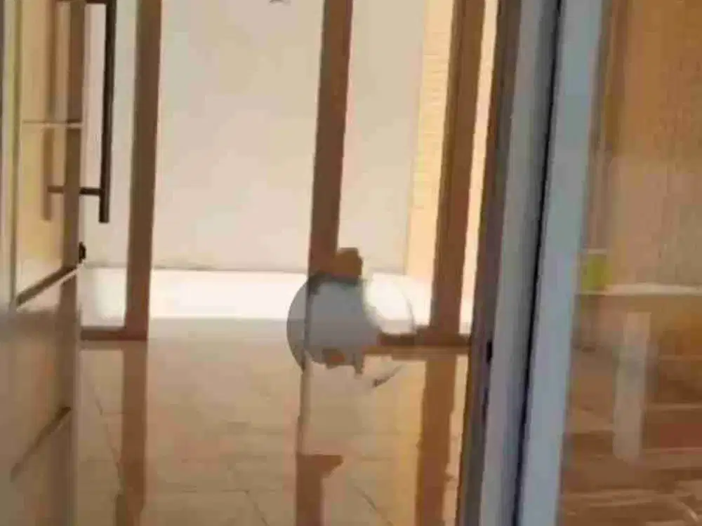 D jual BU rumah green court