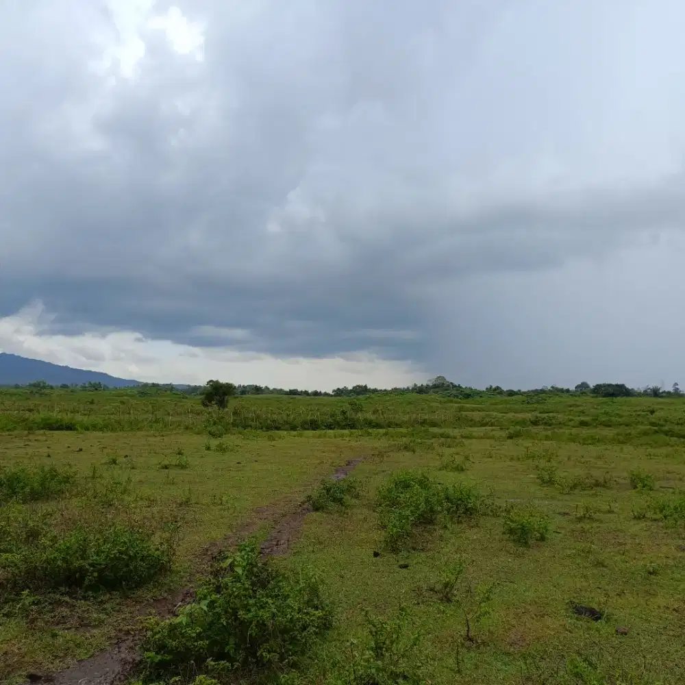 Dijual Tanah untuk Pertanian dan Perkebunan [Tanpa Perantara]