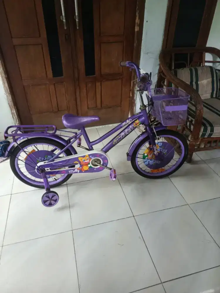 Sepeda Anak United roda 4