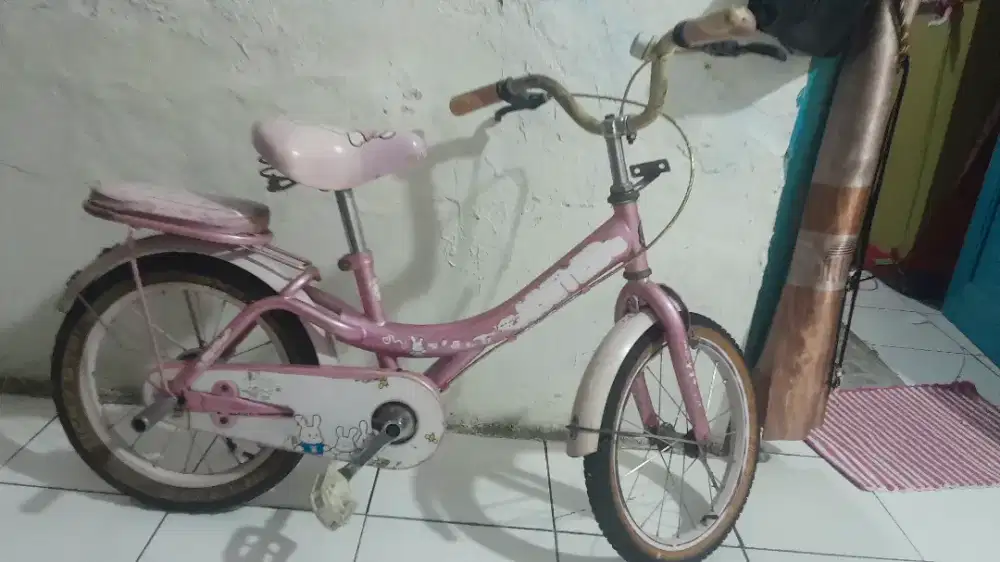 Sepeda anak united ring 16