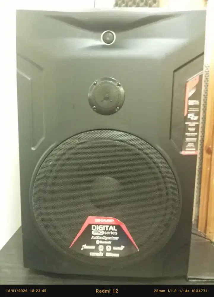 Amply Sharp karoke cbox pro15,