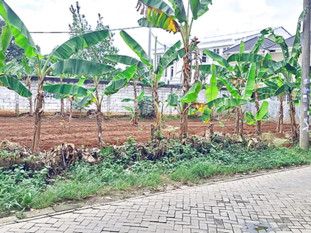 Tanah SHM Dekat Pintu Tol Rawa Buntu