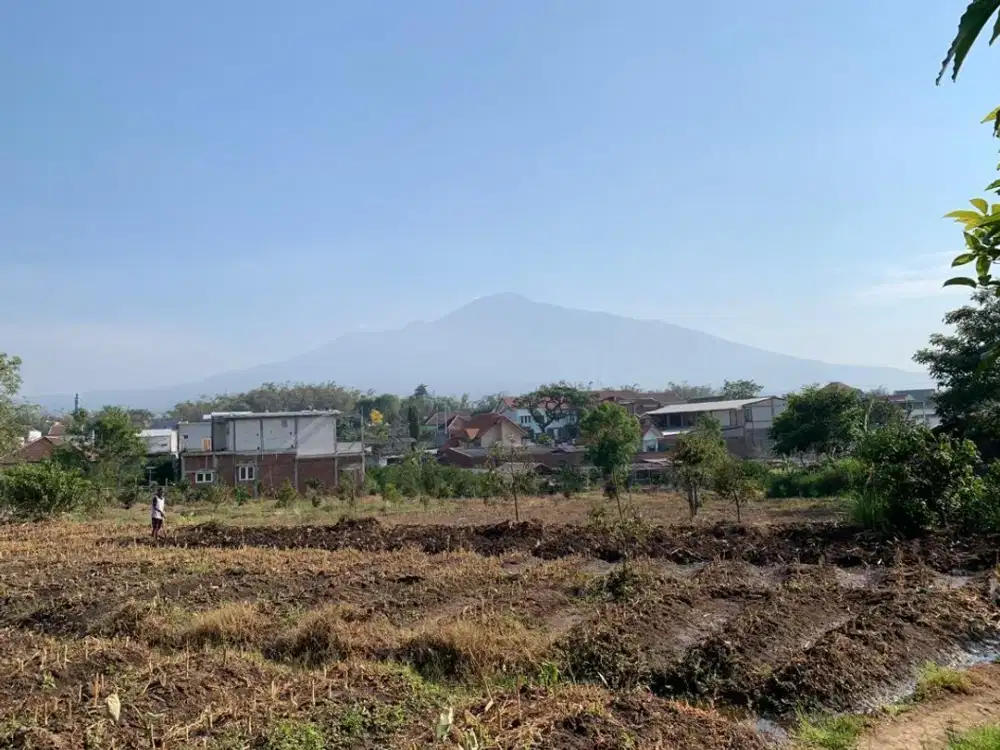 Butuh cepat . Tanah / lahan di Batu Malang