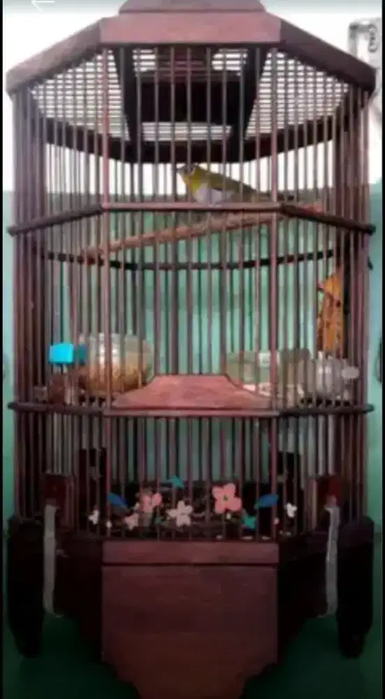 Buxtomy gacor harian.