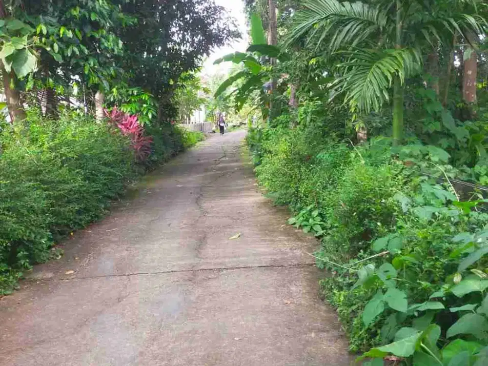 Tanah Dijual dekat Bandara YIA