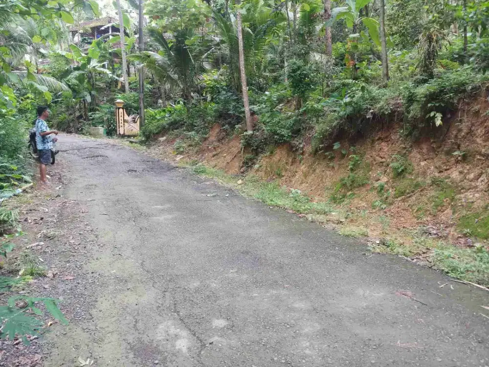 Tanah Murah dekat Balaidesa Kalirejo Kokap Kulon Progo