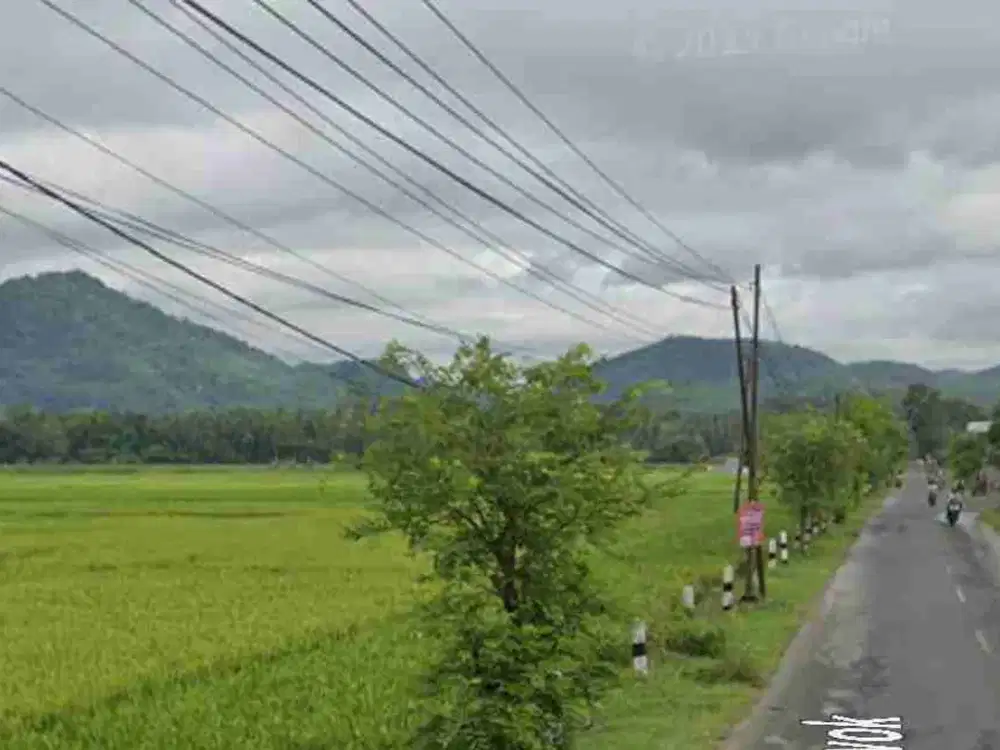Tanah Dijual View Sawah dan Perbukitan Menoreh dekat Bandara YIA