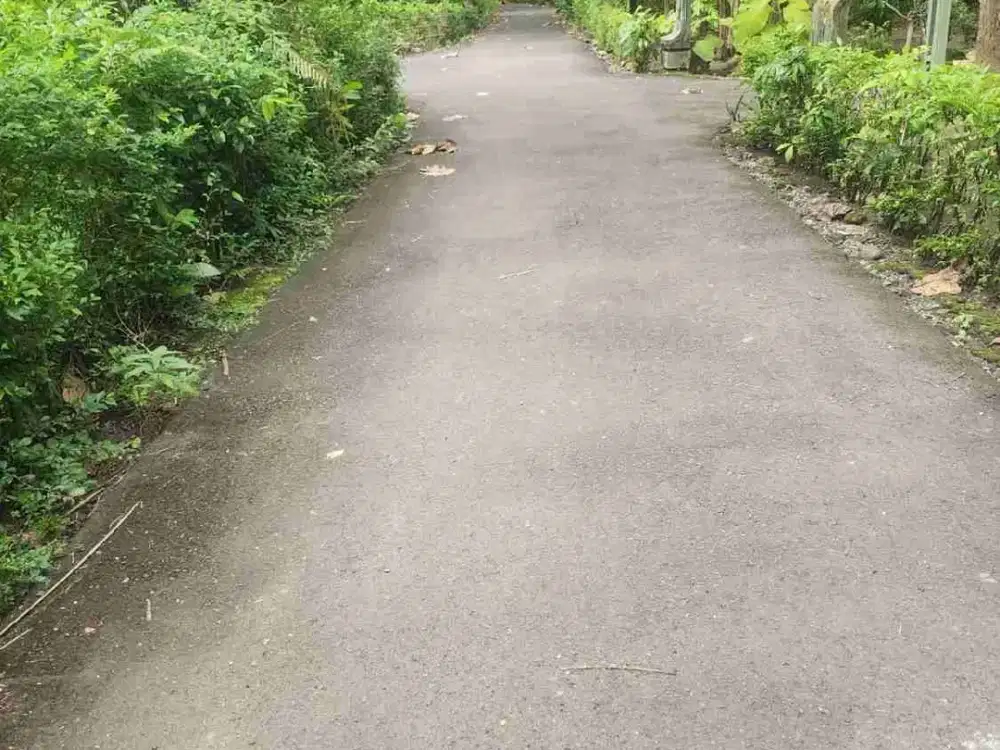 Tanah Dijual di Panjatan Kulon Progo