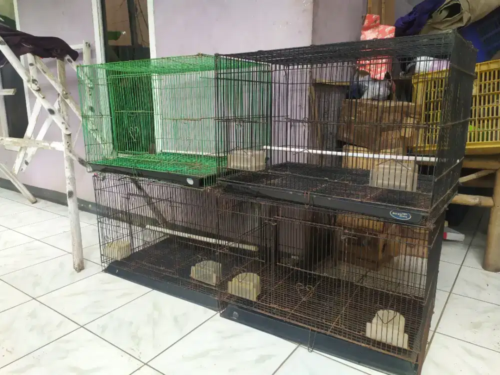 Kurung soliter dan kapsul 6biji