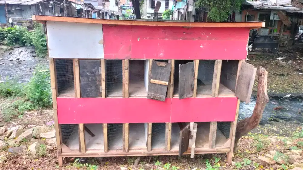 Kandang Ayam (Kayu 8 Pintu)