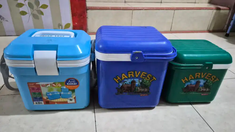 Container Cooler Box kotak asi