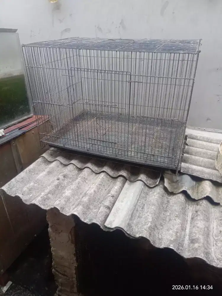 Kandang ternak 70000