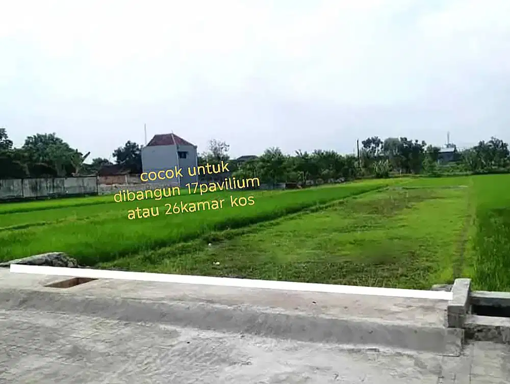 Tanah Luas Harga Murah dekat Jalan Ngipik