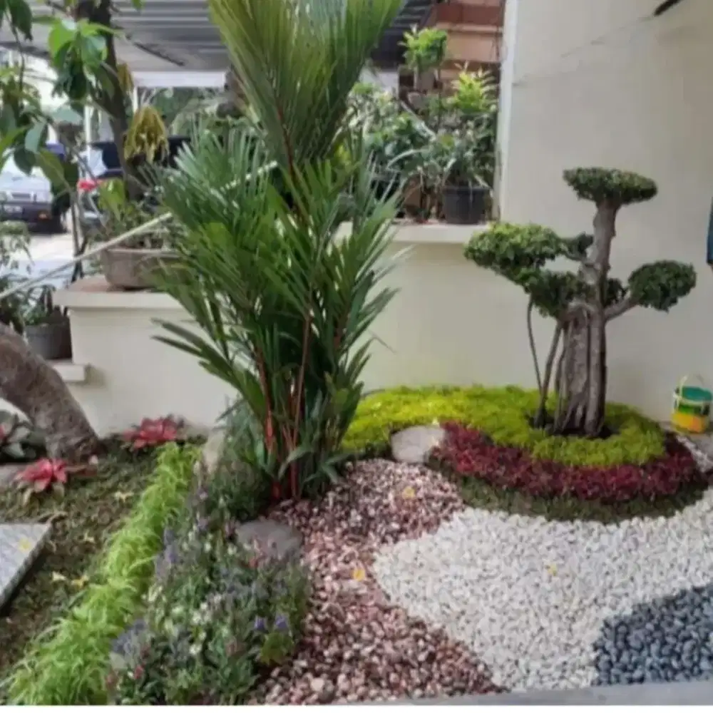 Jasa pembuatan taman kering