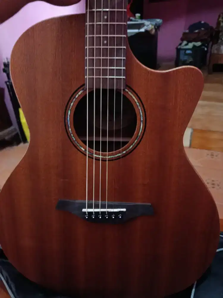 Jual BU cepet murah gitar Akustik VINTAGE VE900MH !!