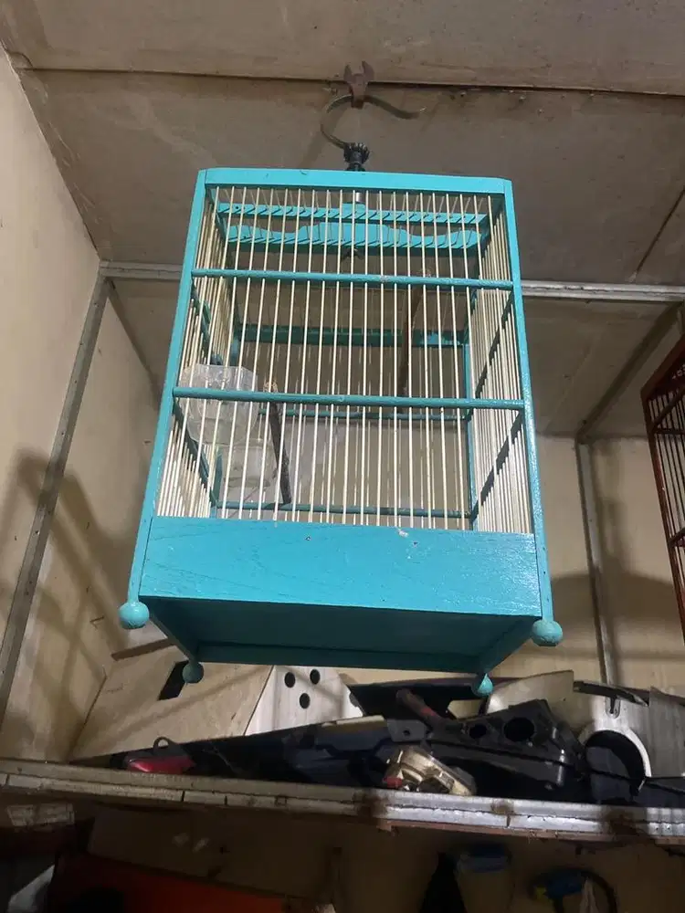 Kandang kotak no 5