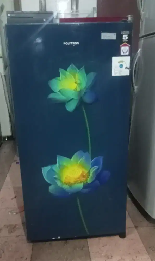 Politron belesa orian